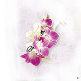 Deep Purple Orchid Corsage.
